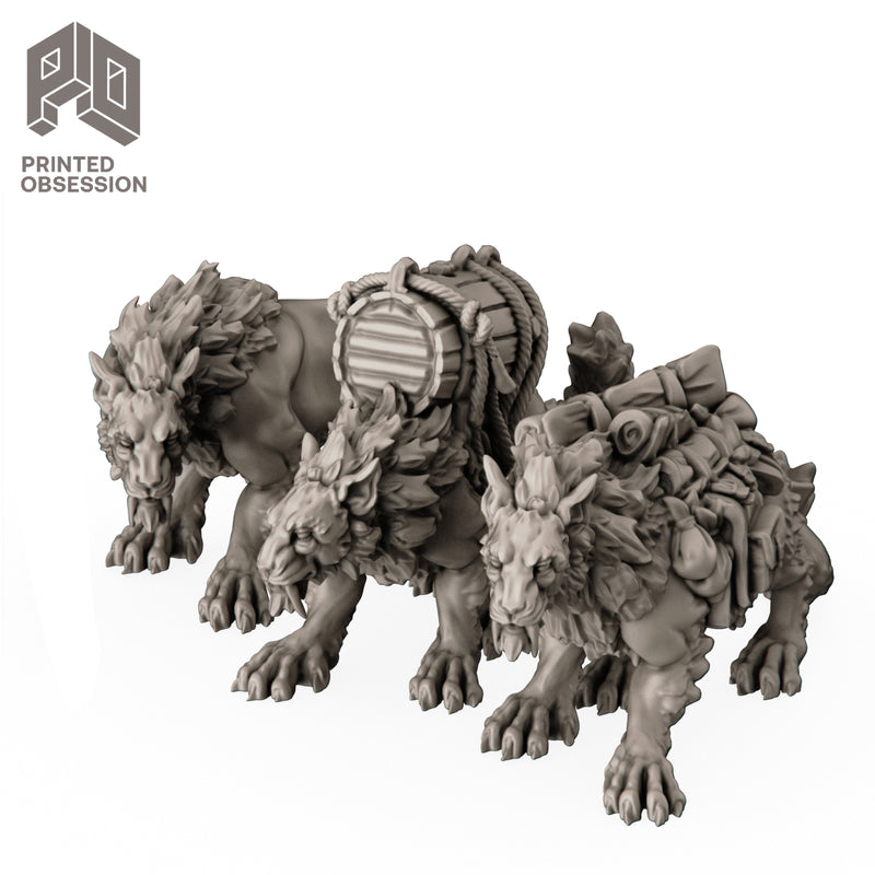 Pack Cats (3 Models) - Only-Games