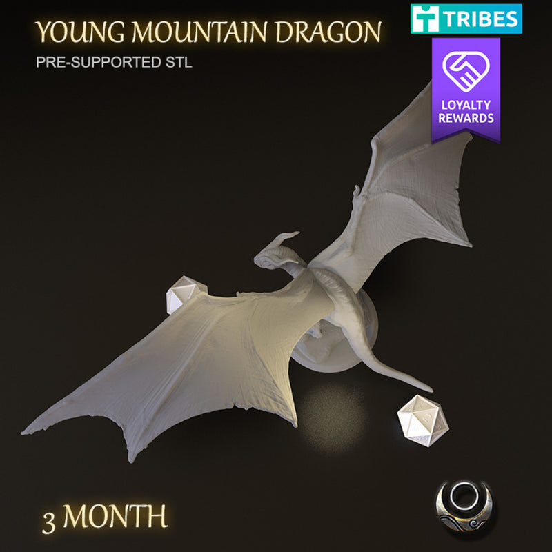 Young Mountain Dragon - Only-Games