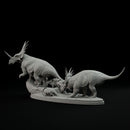 Styracosaurus family 1-35 scale dinosaur - Only-Games