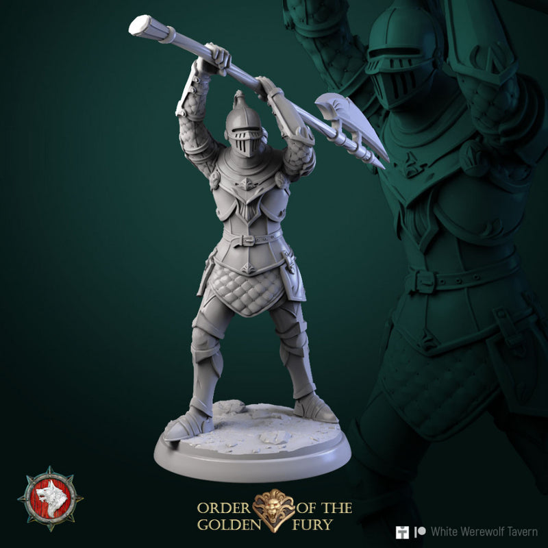 Knights 6 miniatures set 32mm pre-supported - Only-Games