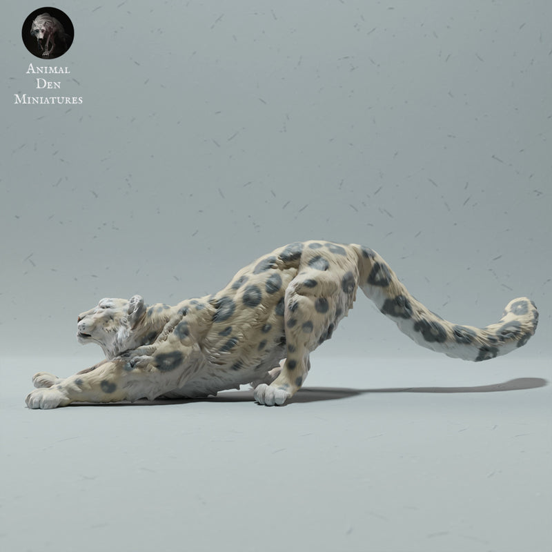 Snow Leopard Stretching 1/43 - Only-Games