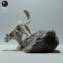 Snow Leopard on a Boulder - Only-Games