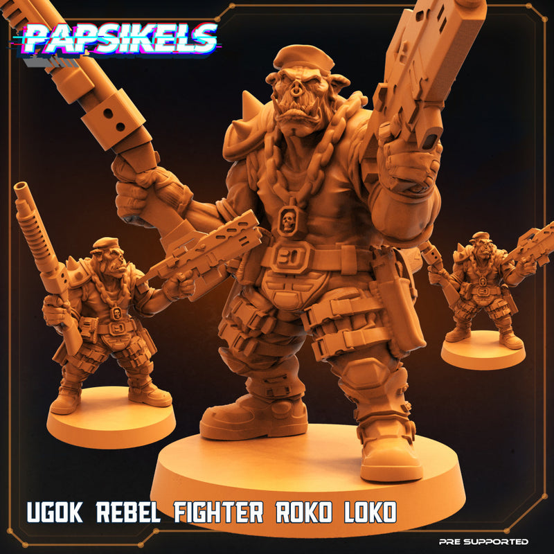 UGOK REBEL FIGHTER ROKO LOKO - Only-Games