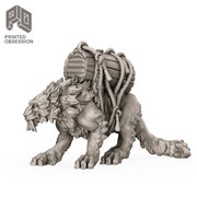 Pack Cats (3 Models) - Only-Games