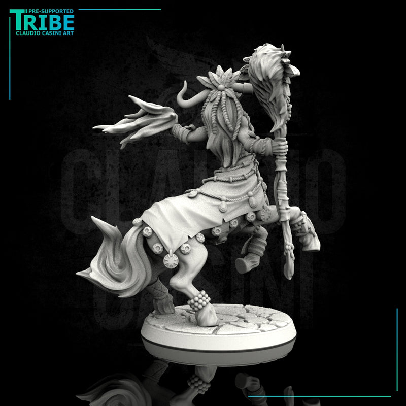 (0113) Female centaur wizard sorceror druid with spell - Only-Games