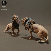 Lions Fighting - Only-Games