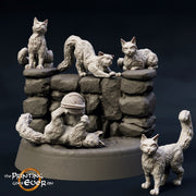 House Cats - 5 Poses - Only-Games