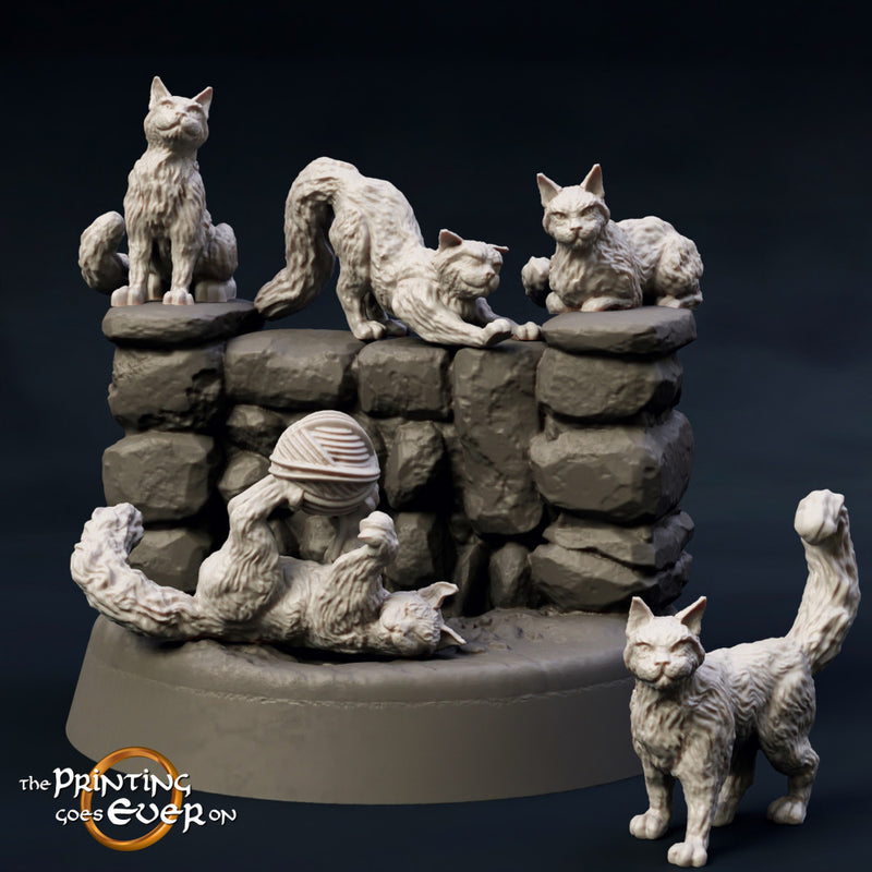 House Cats - 5 Poses - Only-Games