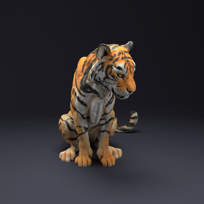 Bengal Tiger Sit 1/43 - Only-Games