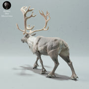 Reindeer / Caribou Bull Calling - Only-Games