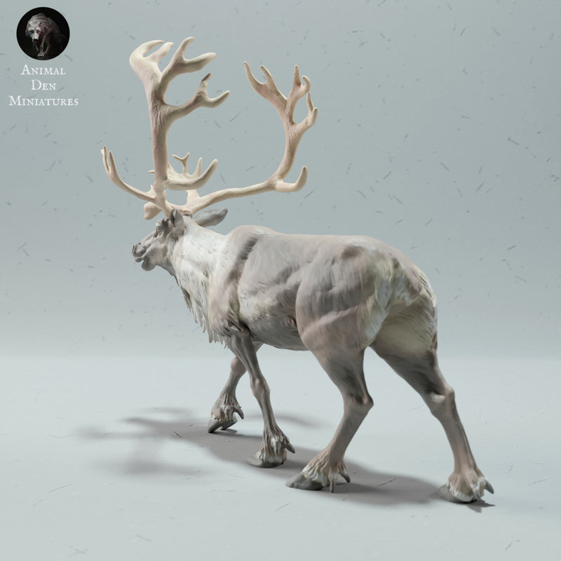 Reindeer / Caribou Bull Calling - Only-Games