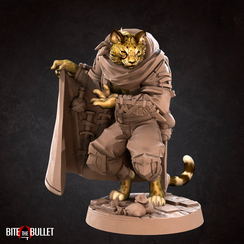 Cheat, the Smuggler Tabaxi - Only-Games