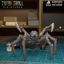 Giant Spider Bundle - 32mm - DND - Pathfinder - Only-Games