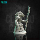 (0173) Male shaman wizard sorceror gnoll - Only-Games