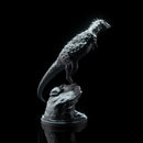 Jakapil Kaniukura watching 1-20 scale dinosaur - Only-Games