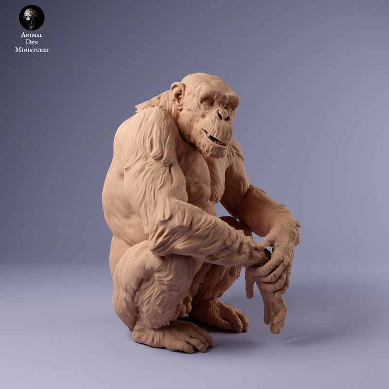 Chimpanzee Sitting 1/43 - Only-Games