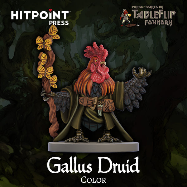 Gallus Druid - Color