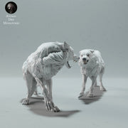 Arctic Wolves Fighting - Only-Games