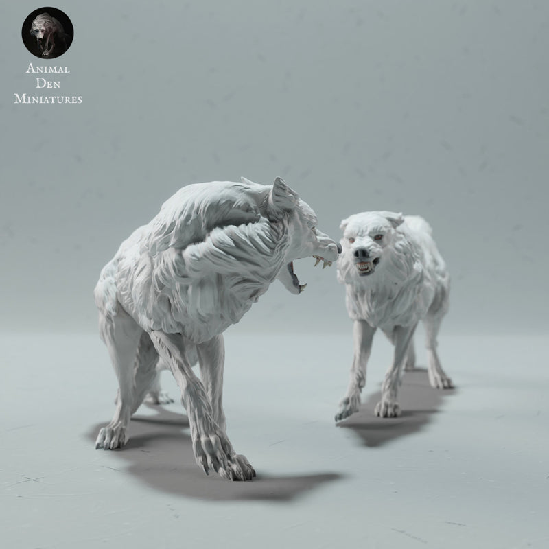 Arctic Wolves Fighting - Only-Games