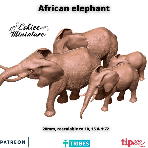 African Elephant x4 - 28mm - Only-Games