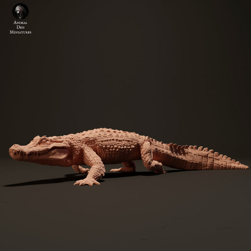 Black Caiman 1/18 - Only-Games