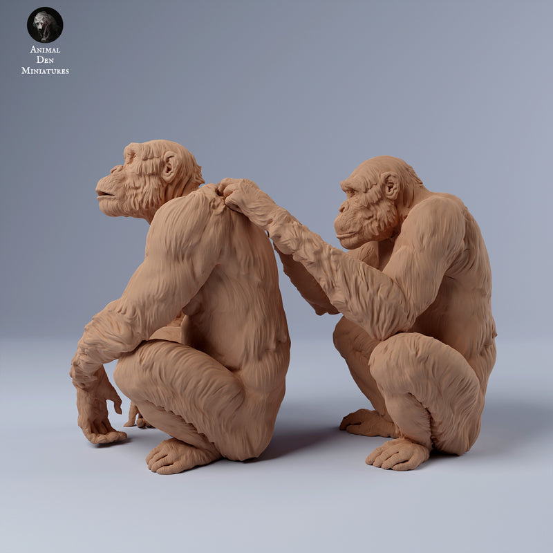 Chimpanzees Grooming 1/43 - Only-Games