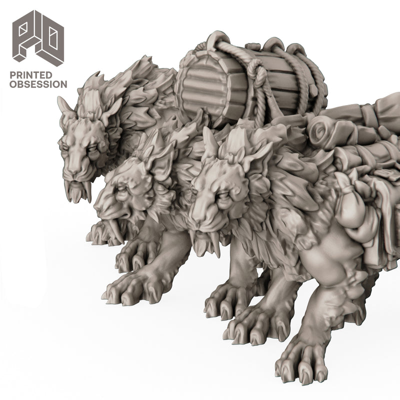 Pack Cats (3 Models) - Only-Games