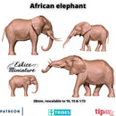 African Elephant x4 - 28mm - Only-Games