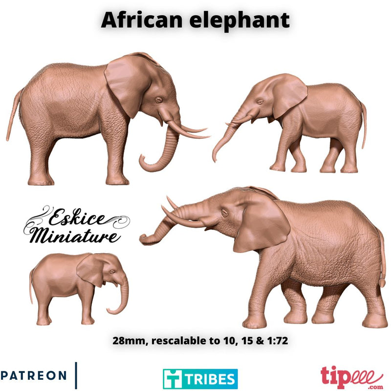 African Elephant x4 - 28mm - Only-Games