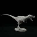 Gorgosaurus roaring 1-35 scale dinosaur - Only-Games