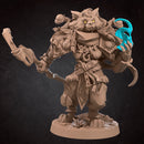 Worgen Druid - Only-Games