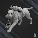 Toxic Hound - Only-Games