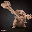 Gatekeeper Ogre - Only-Games