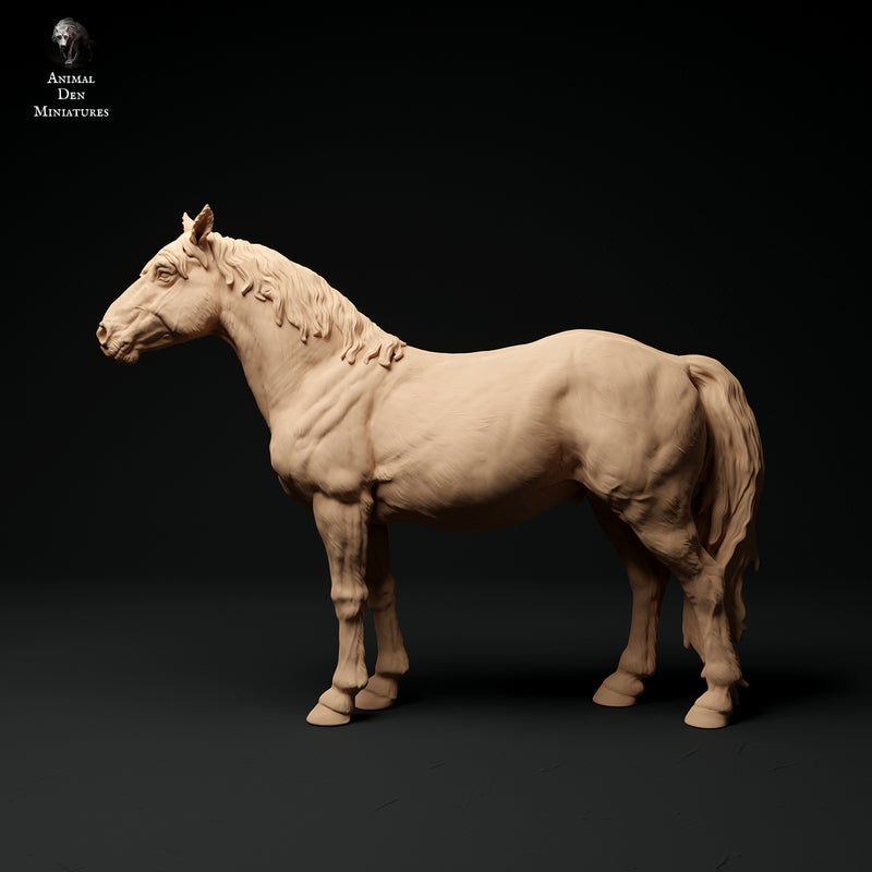 Konik Horse 1/43 - Only-Games