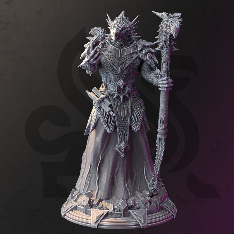 Dragonborn Wild Sorcerer - Artizak - Only-Games