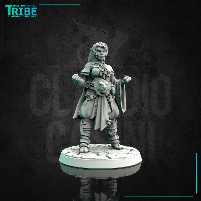 (0095) Female elf, human, tiefling, half-orc, firbolg monk - Only-Games