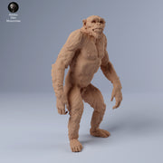 Chimpanzee Grin 1/43 - Only-Games