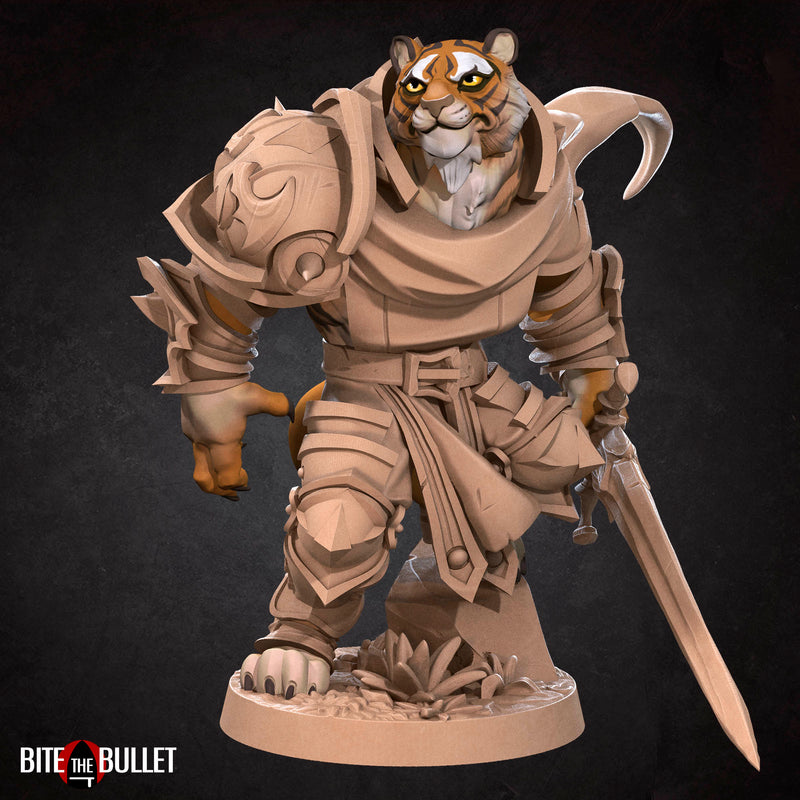 Tabaxi Paladin - Only-Games