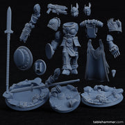 Human Space Corps - Prime Leader Morrigan - Only-Games