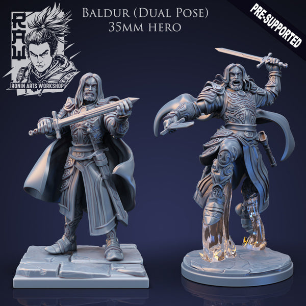 Baldur The Fighter - Idle and Action Pose - Only-Games
