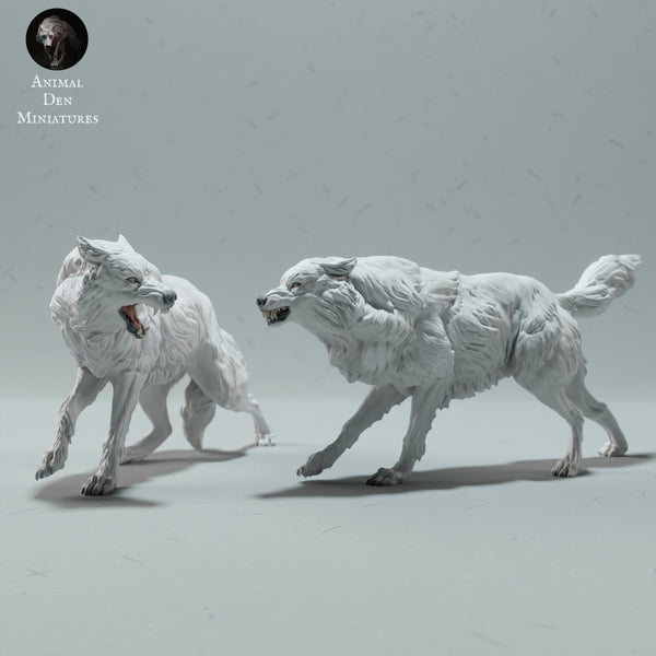 Arctic Wolves Fight 1:24 - Only-Games