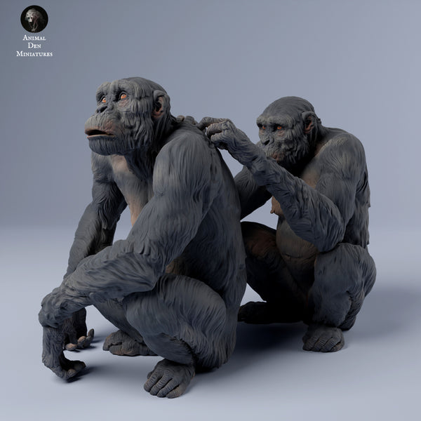 Chimpanzees Grooming 1/43 - Only-Games