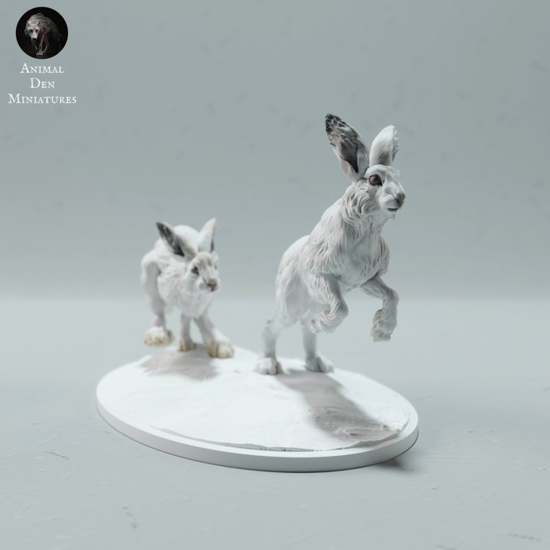 Arctic Hares Run 1/45 - Only-Games