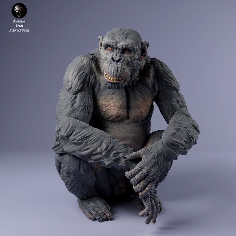 Chimpanzee Sitting 1/43 - Only-Games