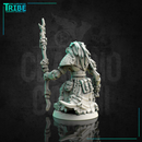 (0173) Male shaman wizard sorceror gnoll - Only-Games