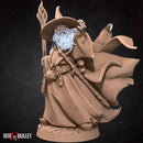 Wizard Explorer - Only-Games