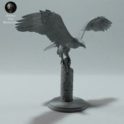 Bald Eagle - Only-Games