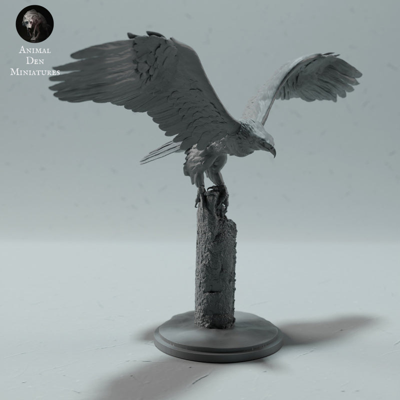 Bald Eagle - Only-Games