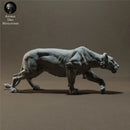 Lioness - Only-Games