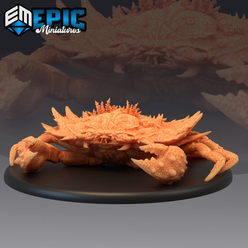 Giant Crab Coral (Huge) - Only-Games